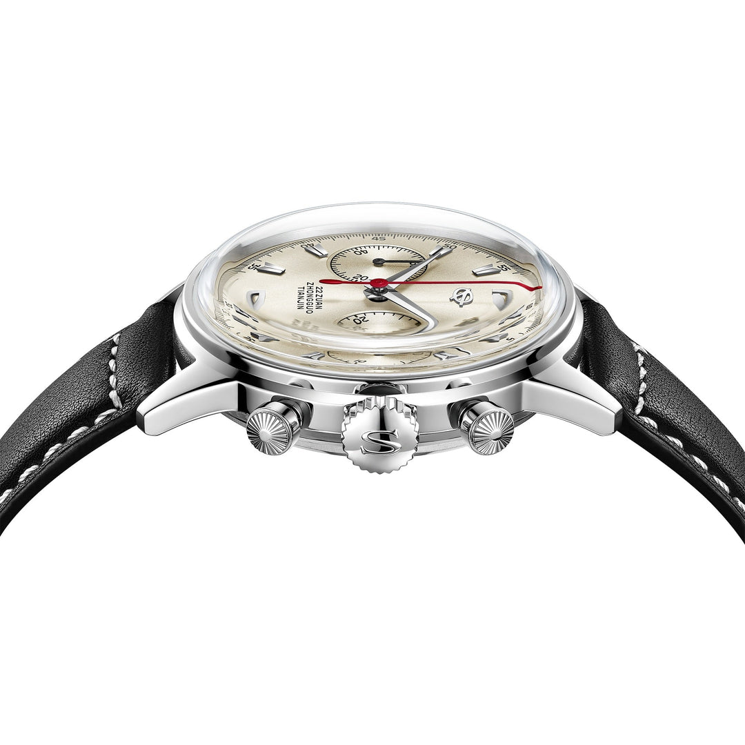 SEAGULL 1963 (819.17.D304)